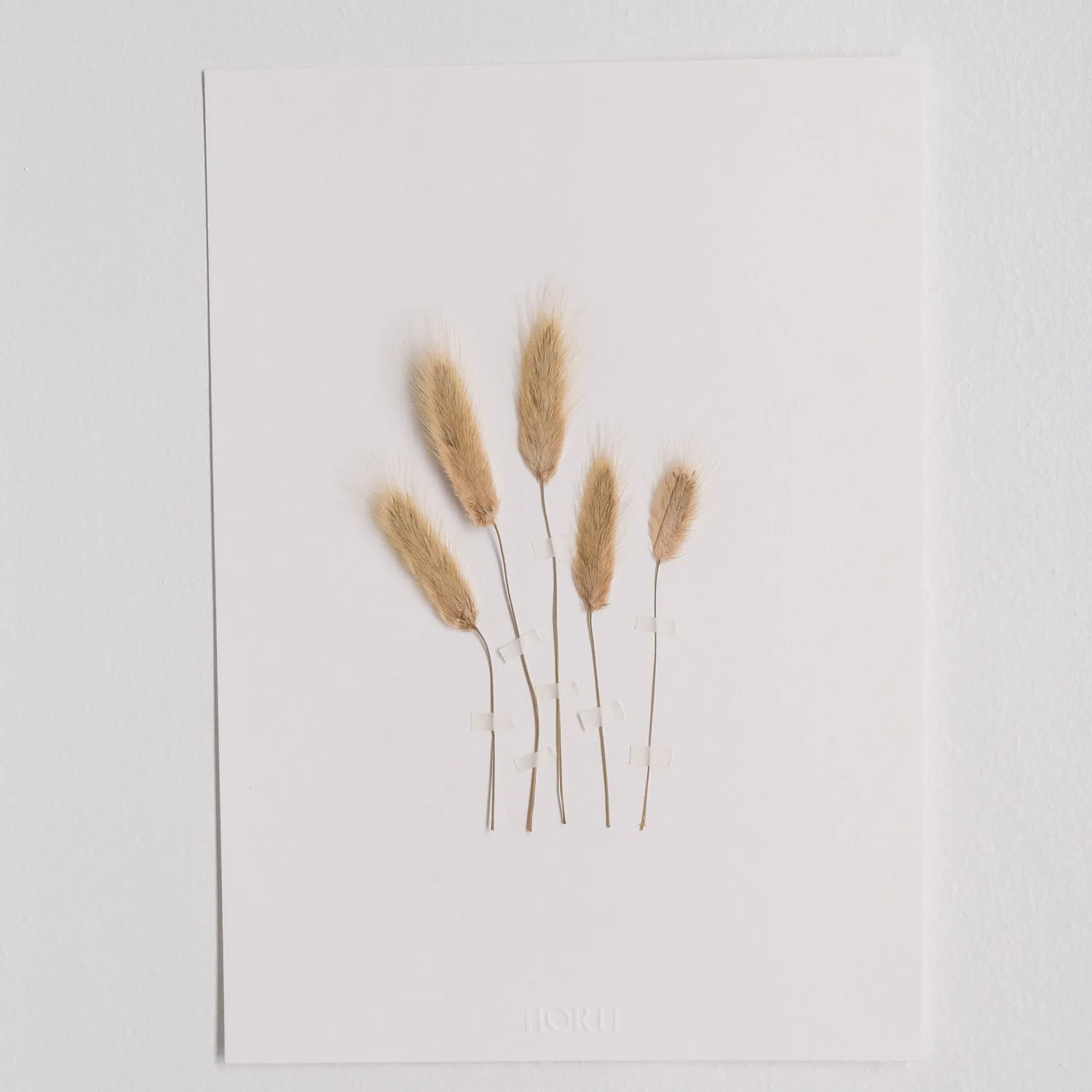 Horti Bunny herbier encadré 21x30cm lagure