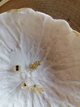 Sandrine Ramona Muscaris dorés coupelle porcelaine fleurs 10 cm