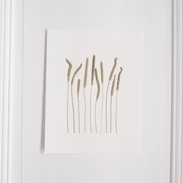 Horti WILD herbier 30x40 cm fléole