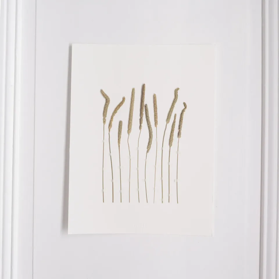 Horti WILD herbier 30x40 cm fléole