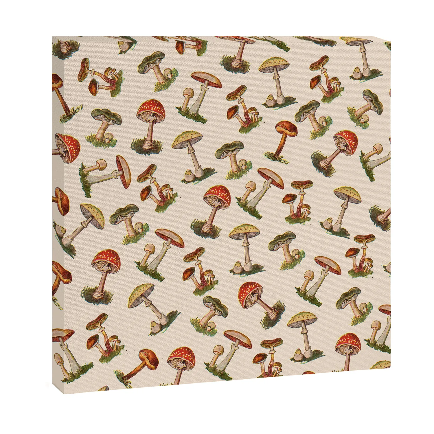 Society6 Magical Mushrooms toile champignons