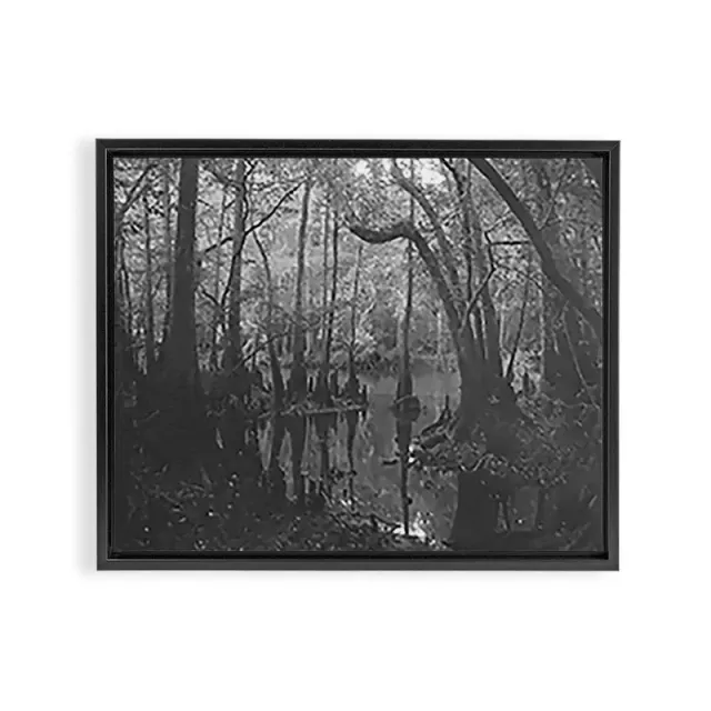 Society6 Florida Swamp toile encadrée noir et blanc