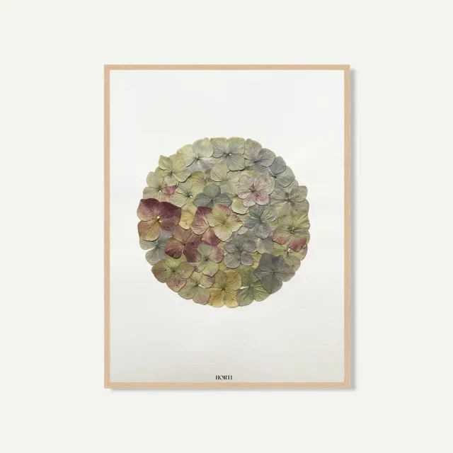 Horti GÙLO herbier 30x40 cm hortensia