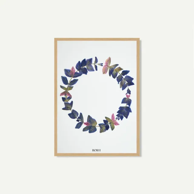 Horti Alò herbier encadré 21x30 sauge
