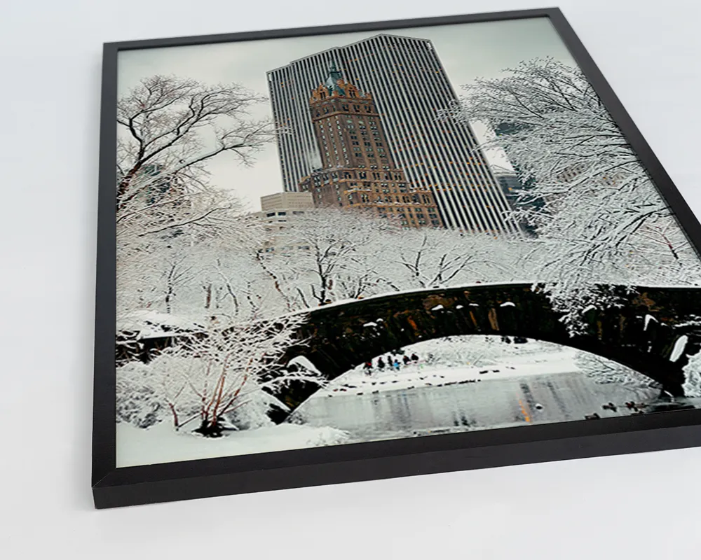 Any Image Central Park photo encadrée architecture