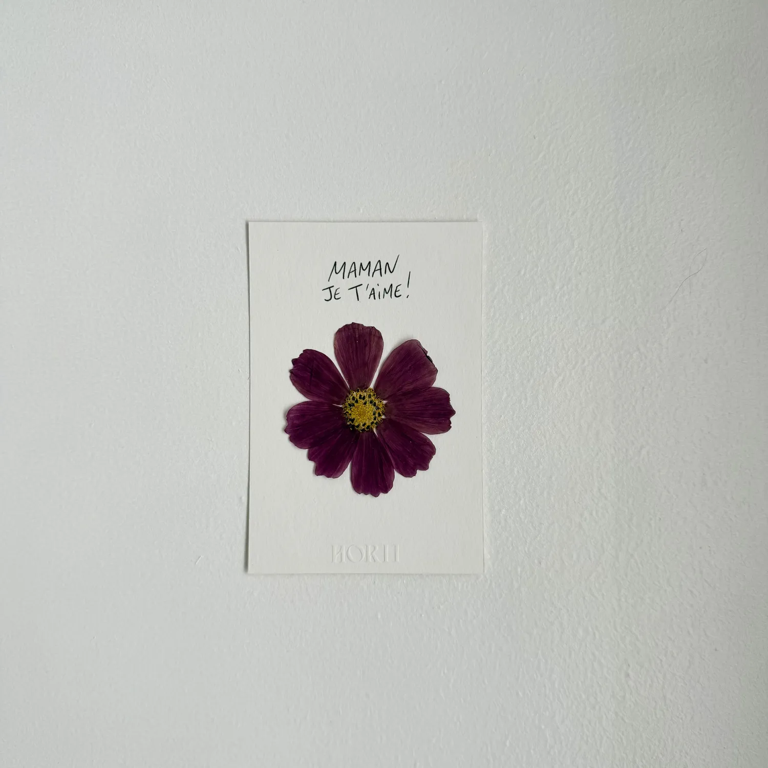 Horti Mum mini herbier encadré 10x15 cm cosmos