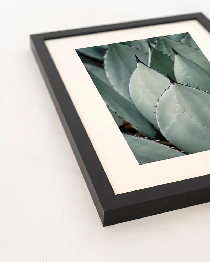 Liv Corday Cacti toile encadrée cactus graphique