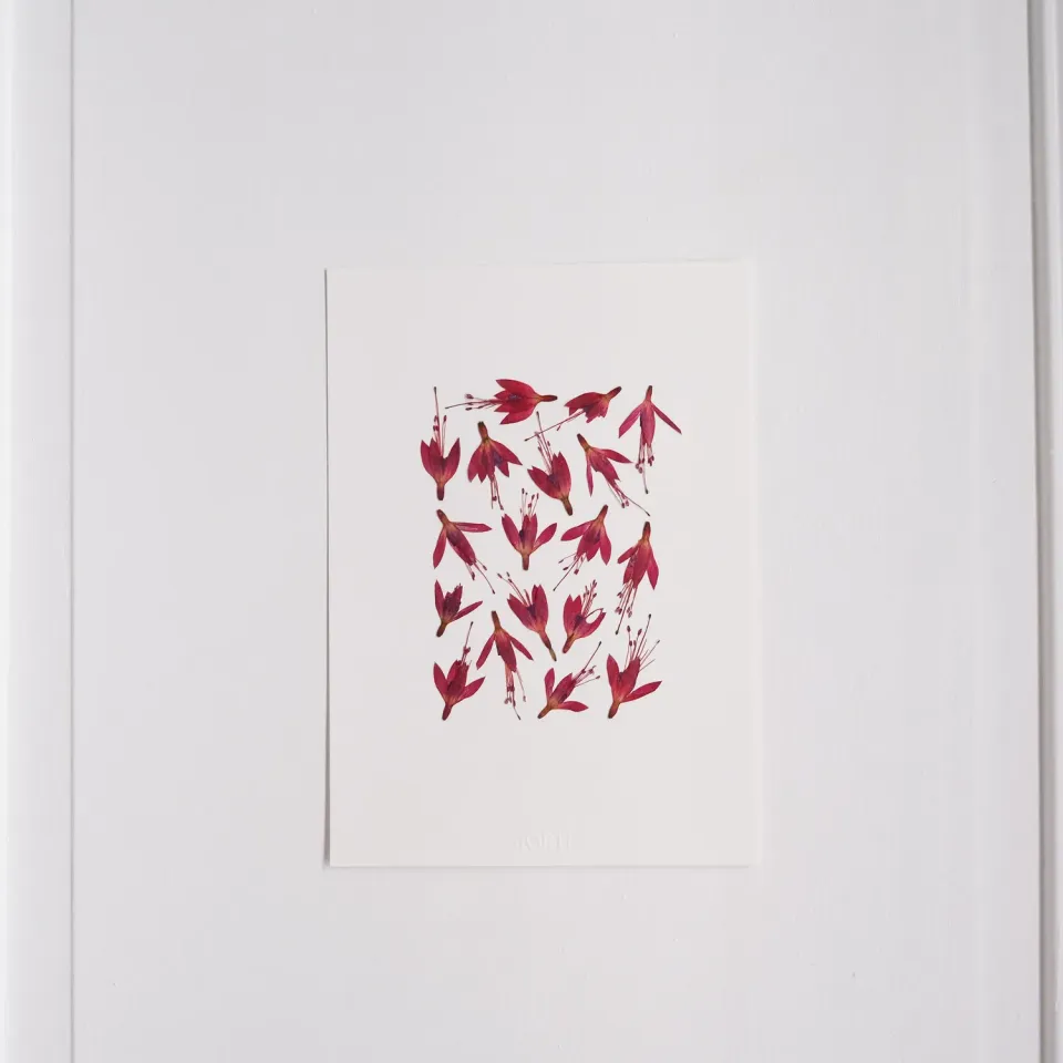 Horti Wasø herbier encadré 21x30 fuchsia