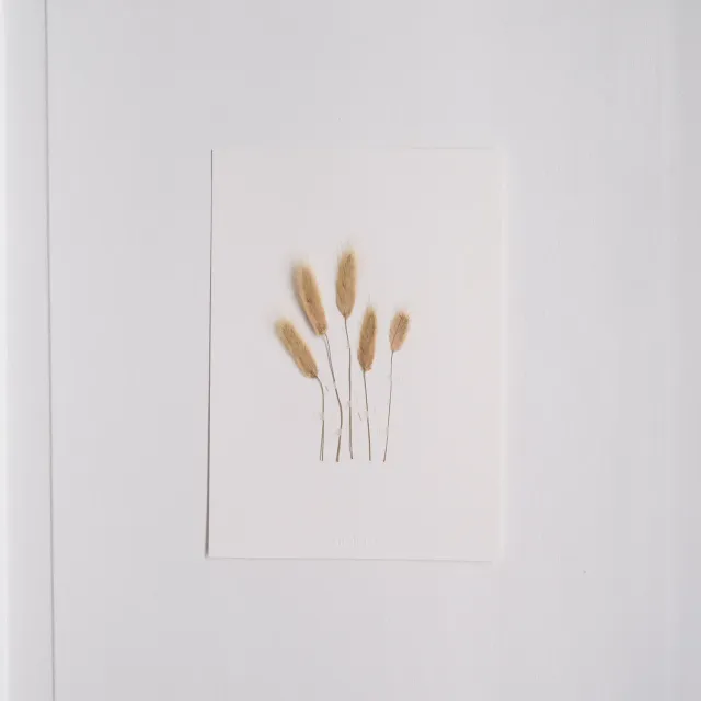Horti Bunny herbier encadré 21x30cm lagure
