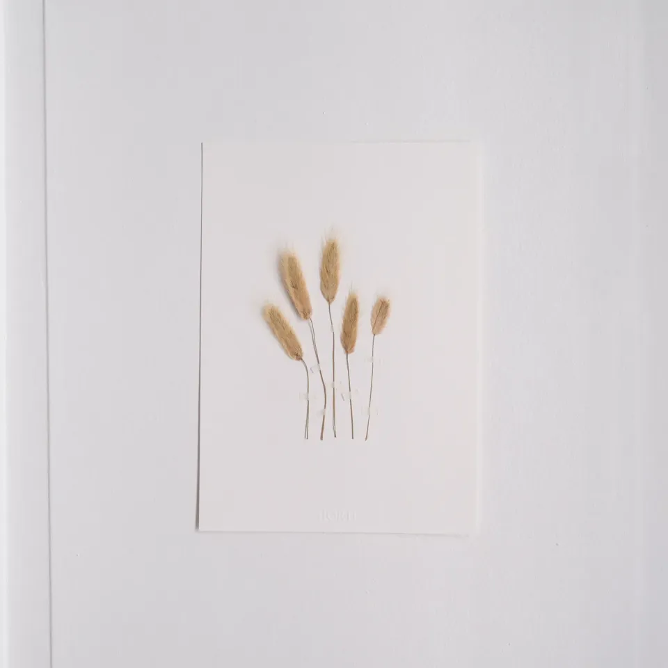 Horti Bunny herbier encadré 21x30cm lagure