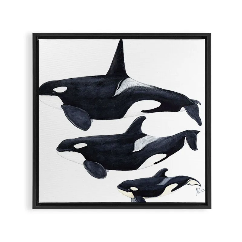 Society6 Orca toile encadrée orque noir blanc