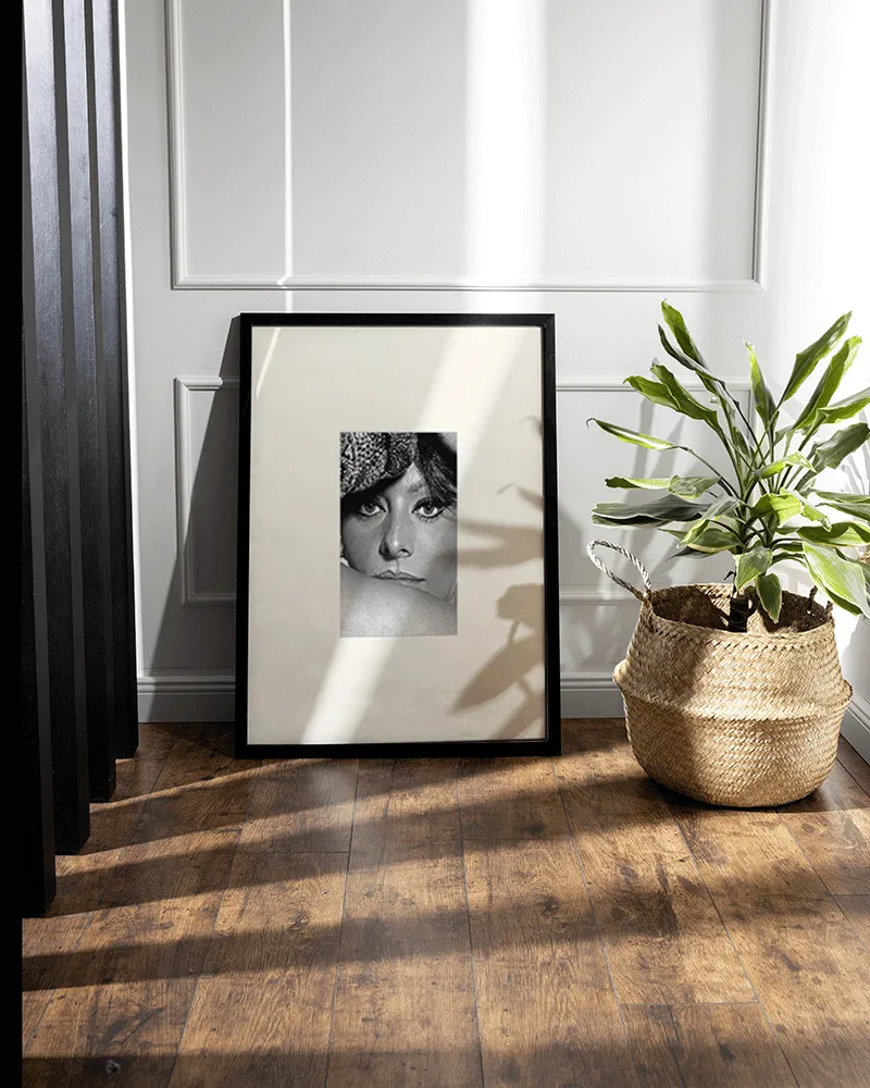 Any Image Sophia Loren in A Countess from Hong Kong toile encadrée