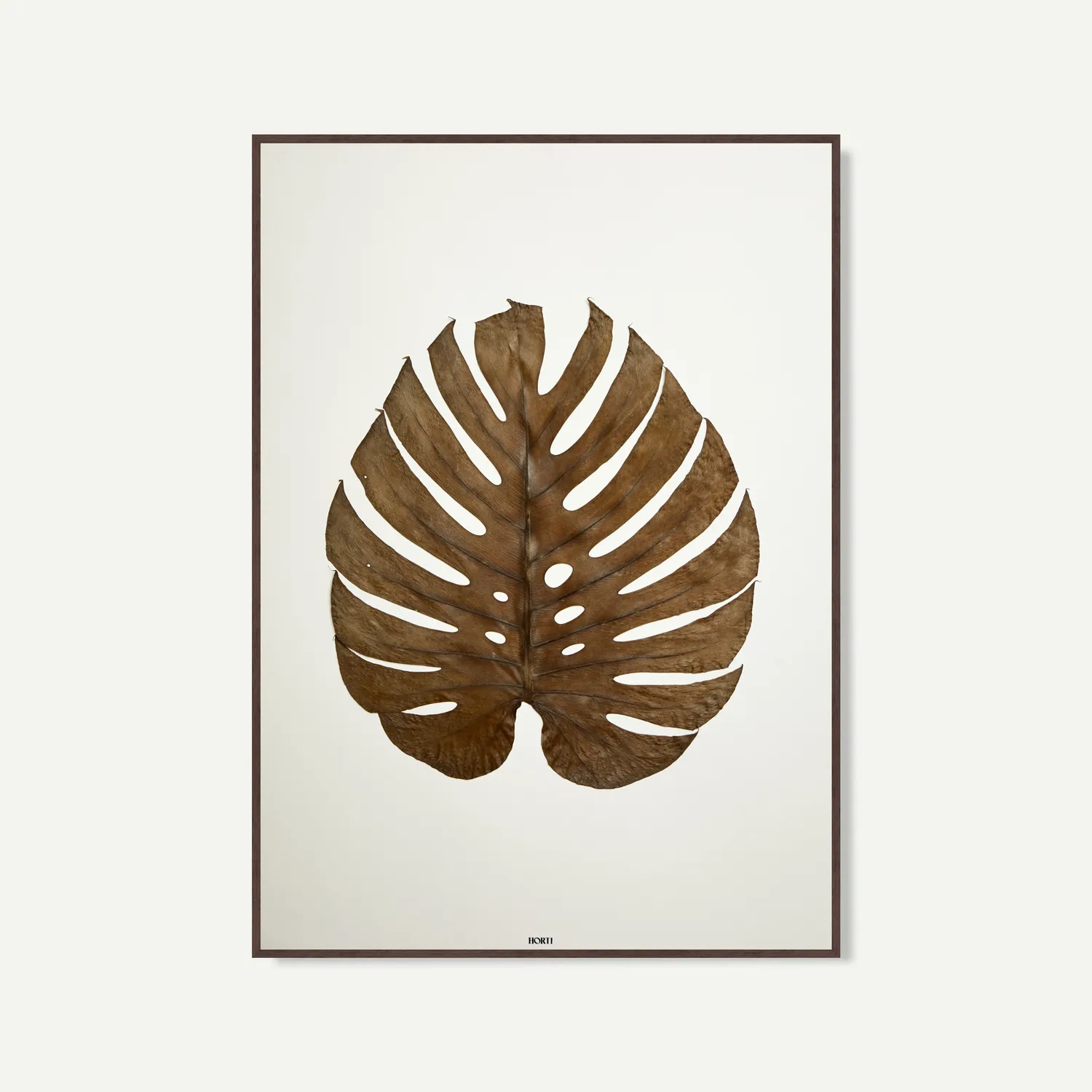 Horti LE GRAND MONSTERA herbier feuille de monstera
