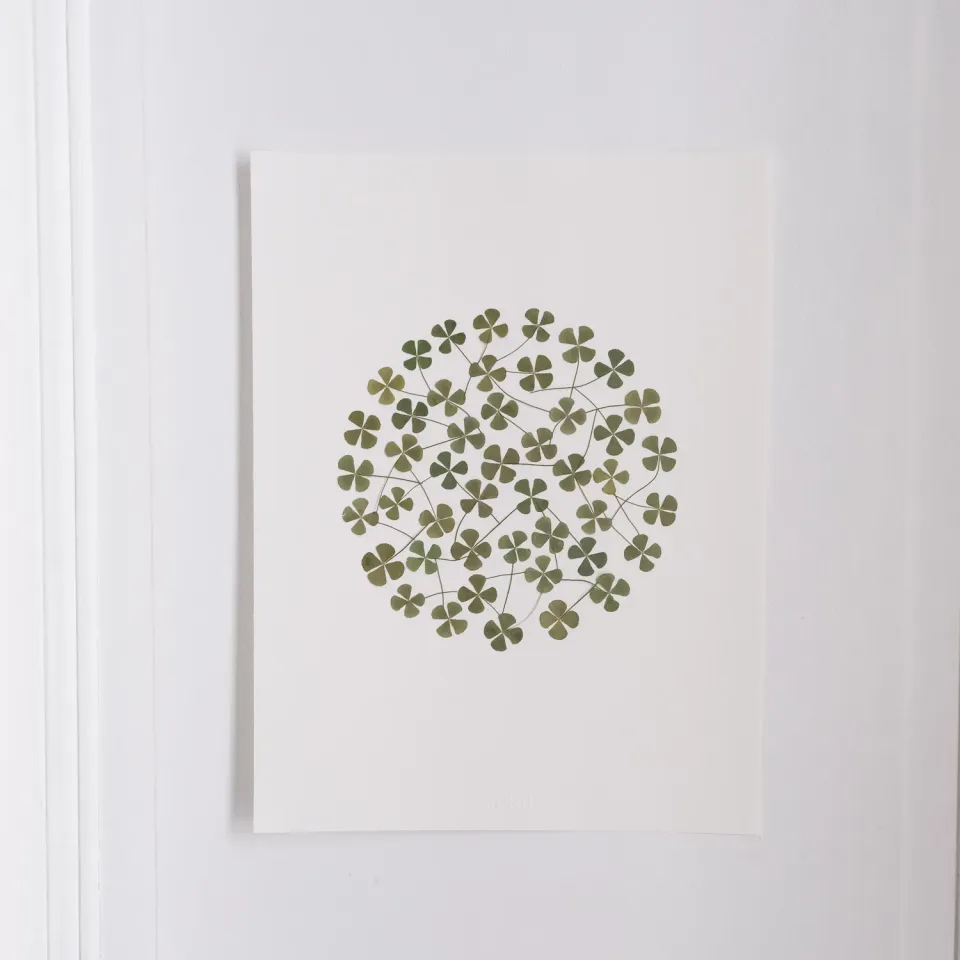 Horti Ego herbier encadré 30x40 trèfle