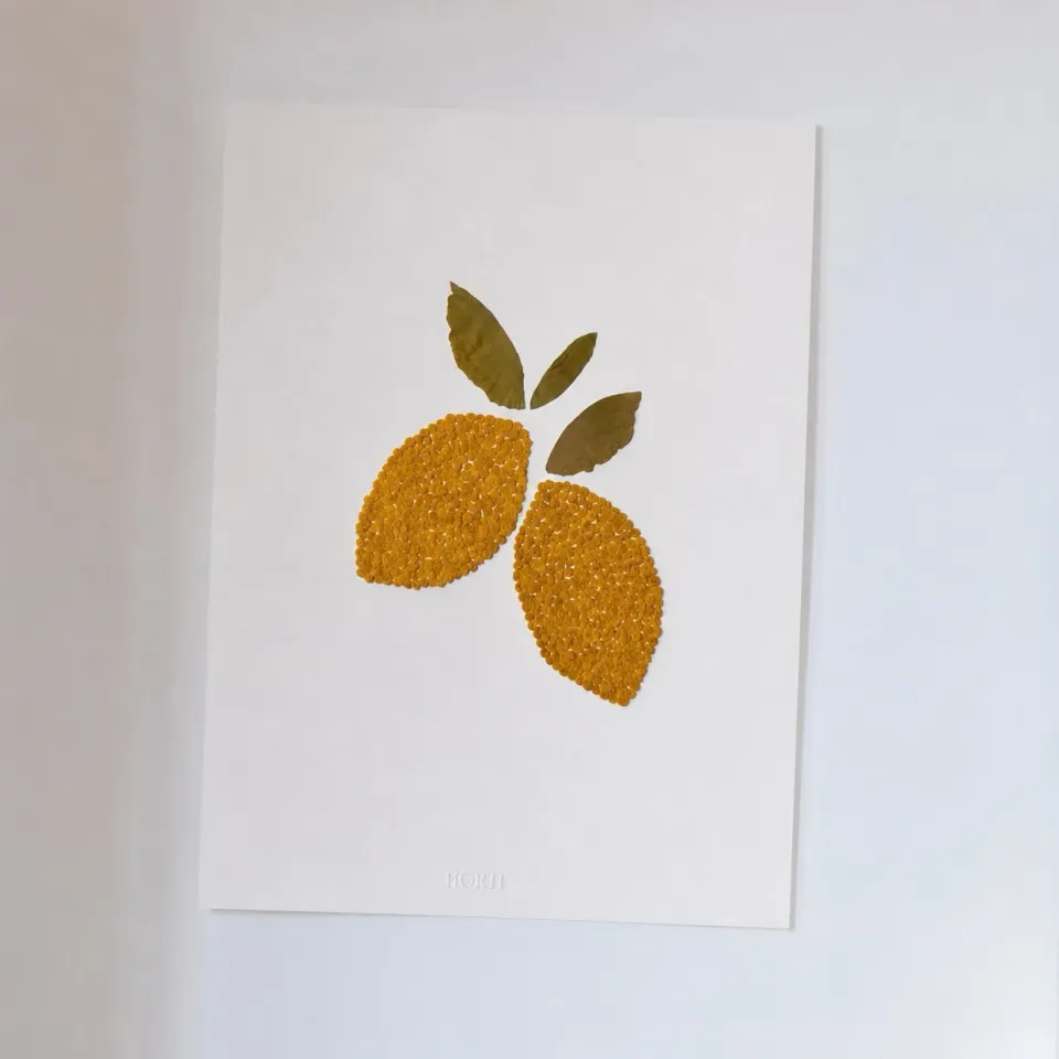 Horti Les Citrons herbier encadré 30x40cm mimosa