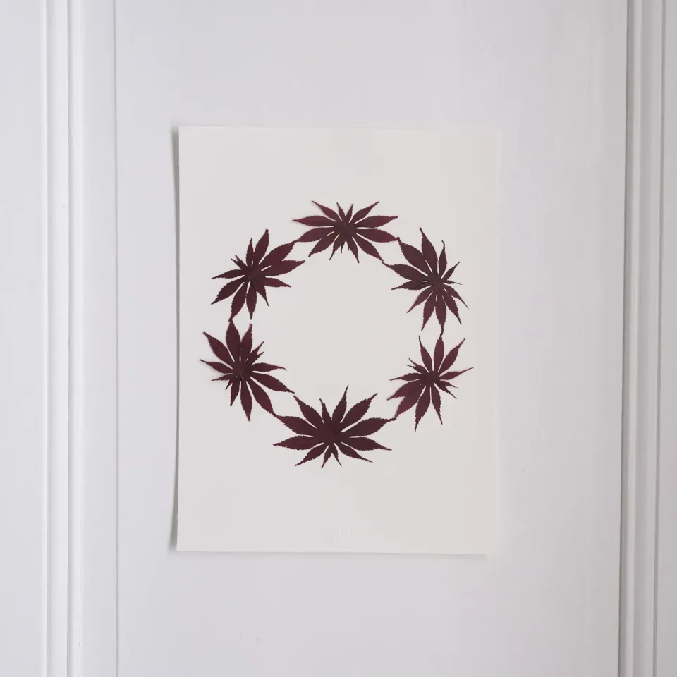 Horti Flit herbier encadré 30x40cm érable