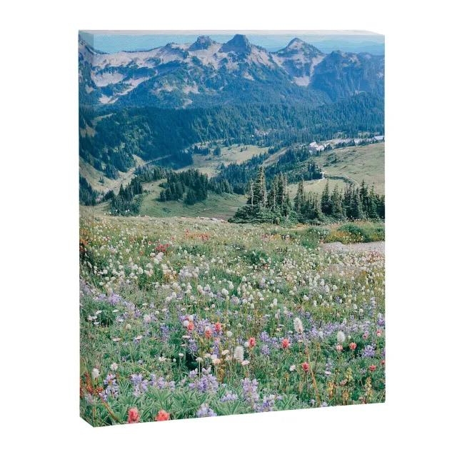 Society6 Wildflower Meadow toile prairie fleurie