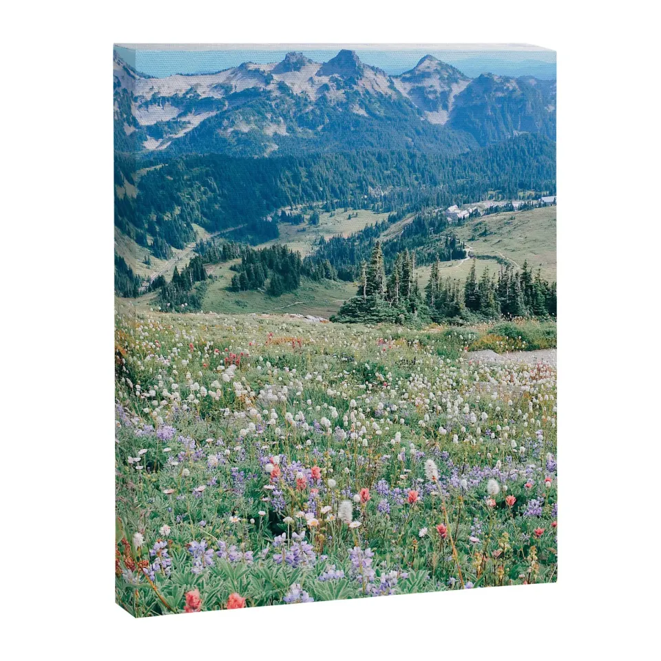 Society6 Wildflower Meadow toile prairie fleurie