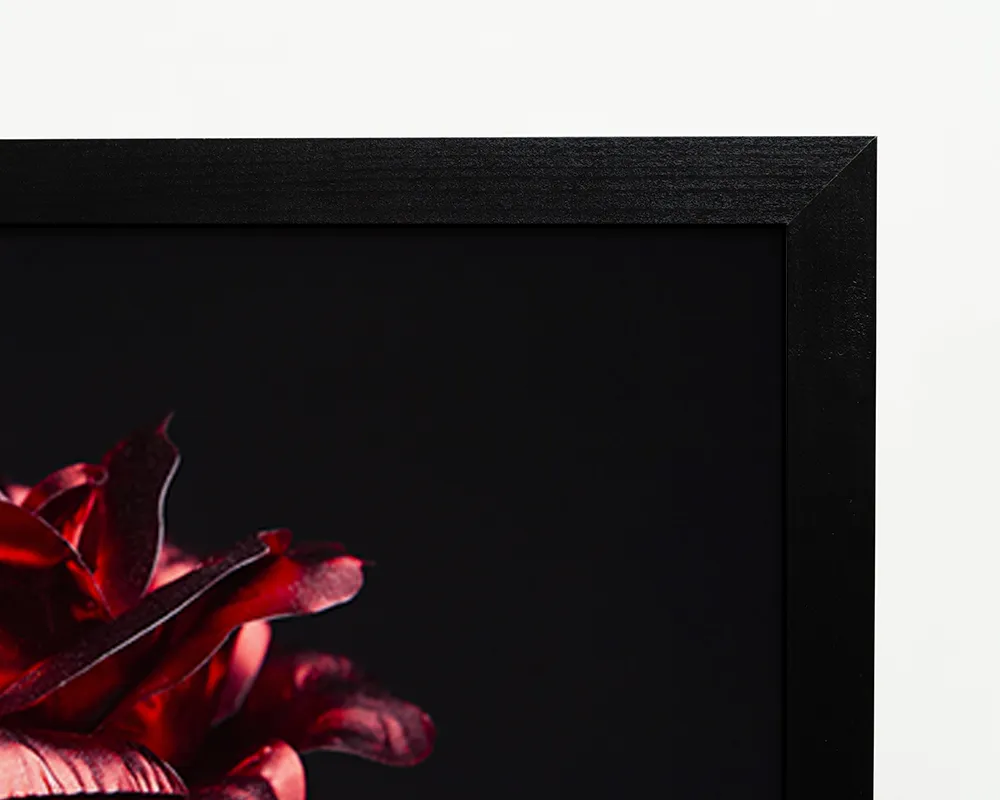 Any Image Flower in Black tirage encadré fleur