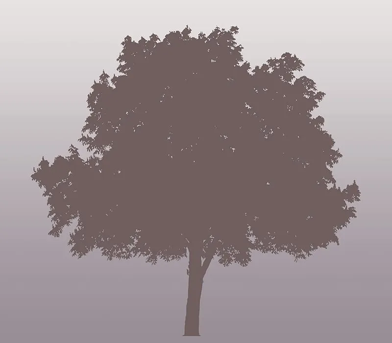 Mademoiselle Tiss Mon Arbre tête de lit tissu motif arbre