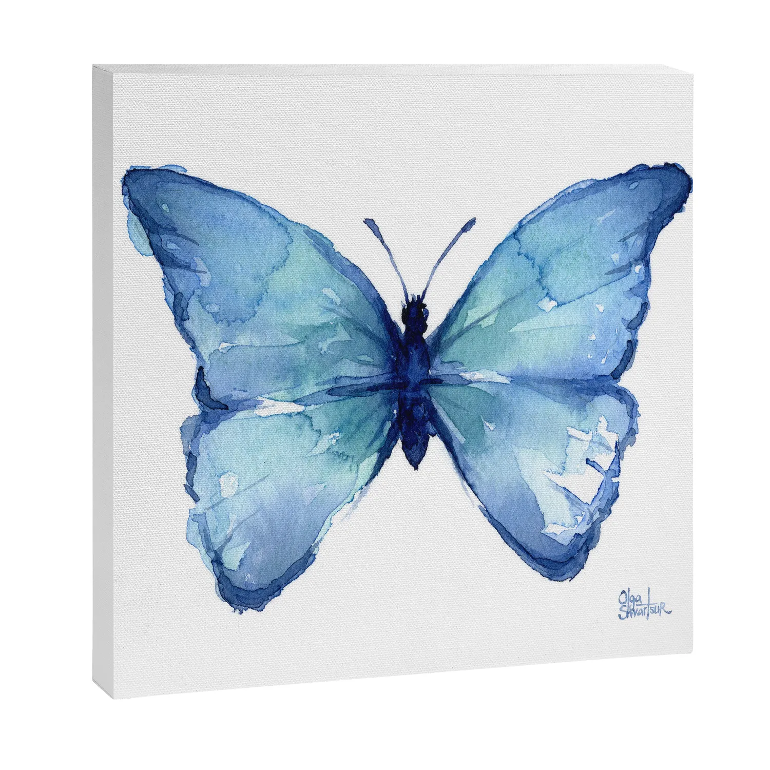 Society6 Blue Butterfly Watercolor toile papillon bleu