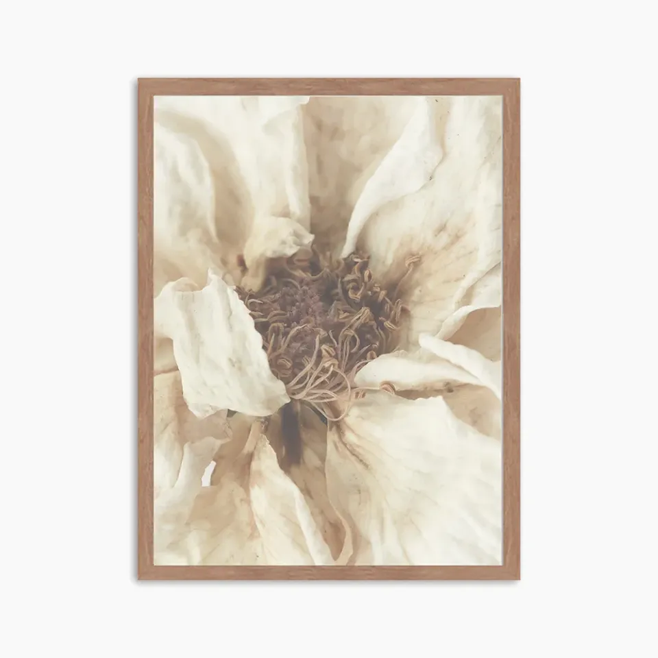 Any Image White Flower photo encadrée fleur blanche