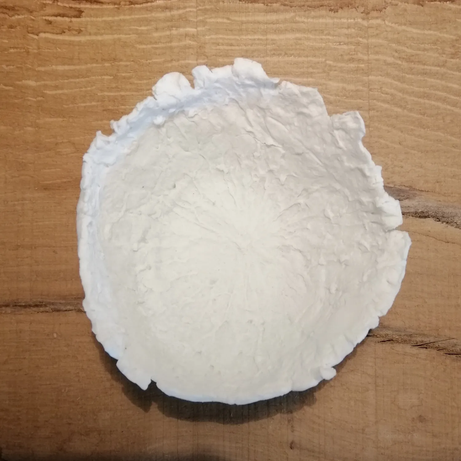Sandrine Ramona Sauvage I coupelle porcelaine 11,5 cm