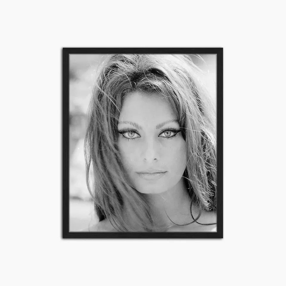 Any Image Young Sophia Loren photo Hollywood noir et blanc