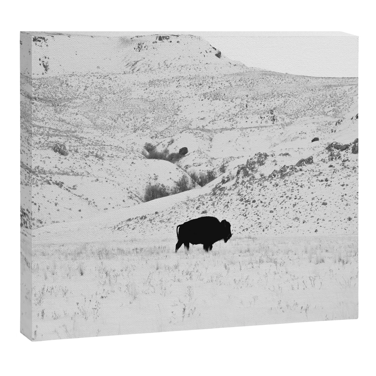 Society6 Black and White Bison toile bison hiver