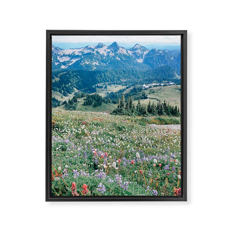 Society6 Wildflower Meadow toile encadrée prairie fleurie