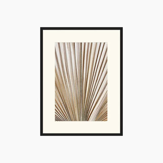 Liv Corday Dried Palm Frond photo encadrée nature