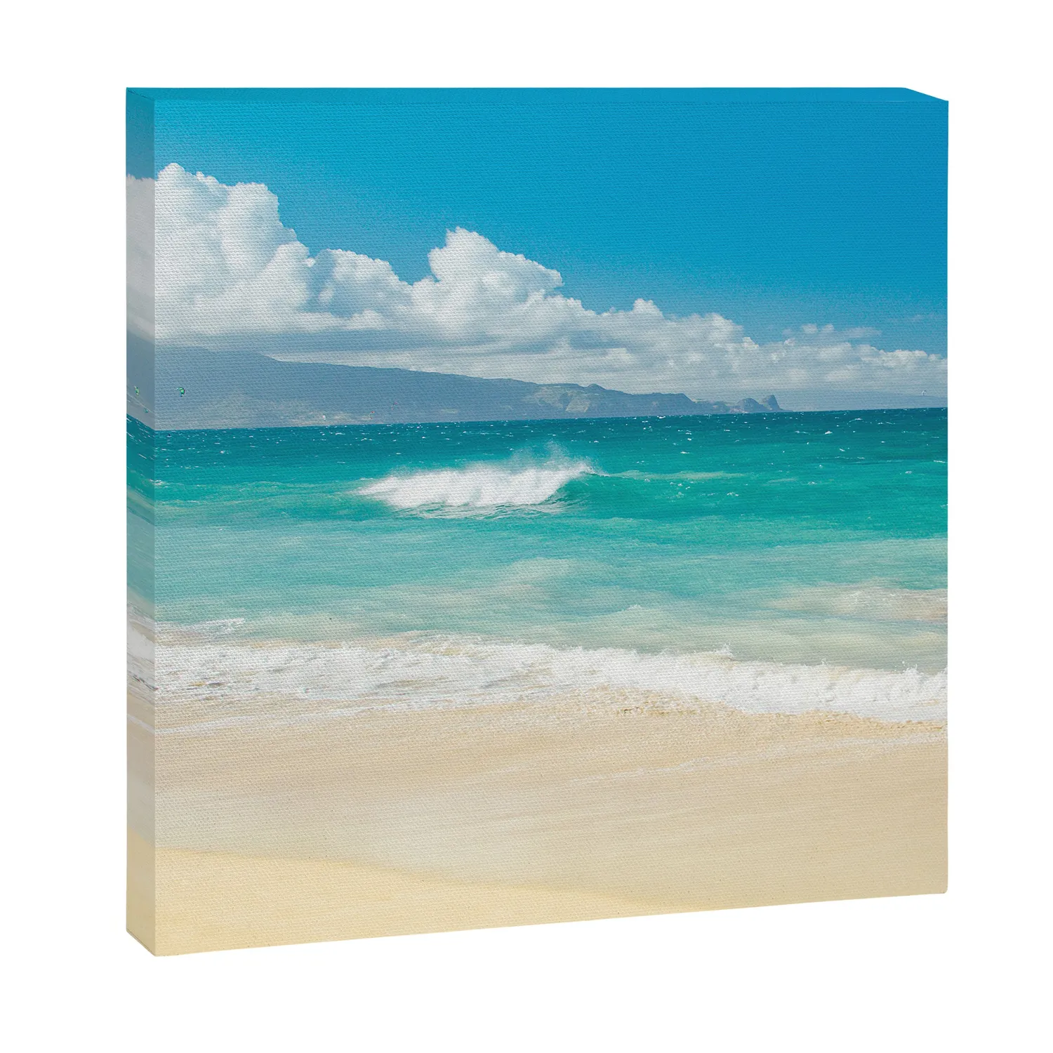 Society6 Hawaii Beach Treasures toile