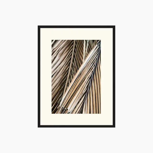 Any Image Dried Palm Fronds toile encadrée nature