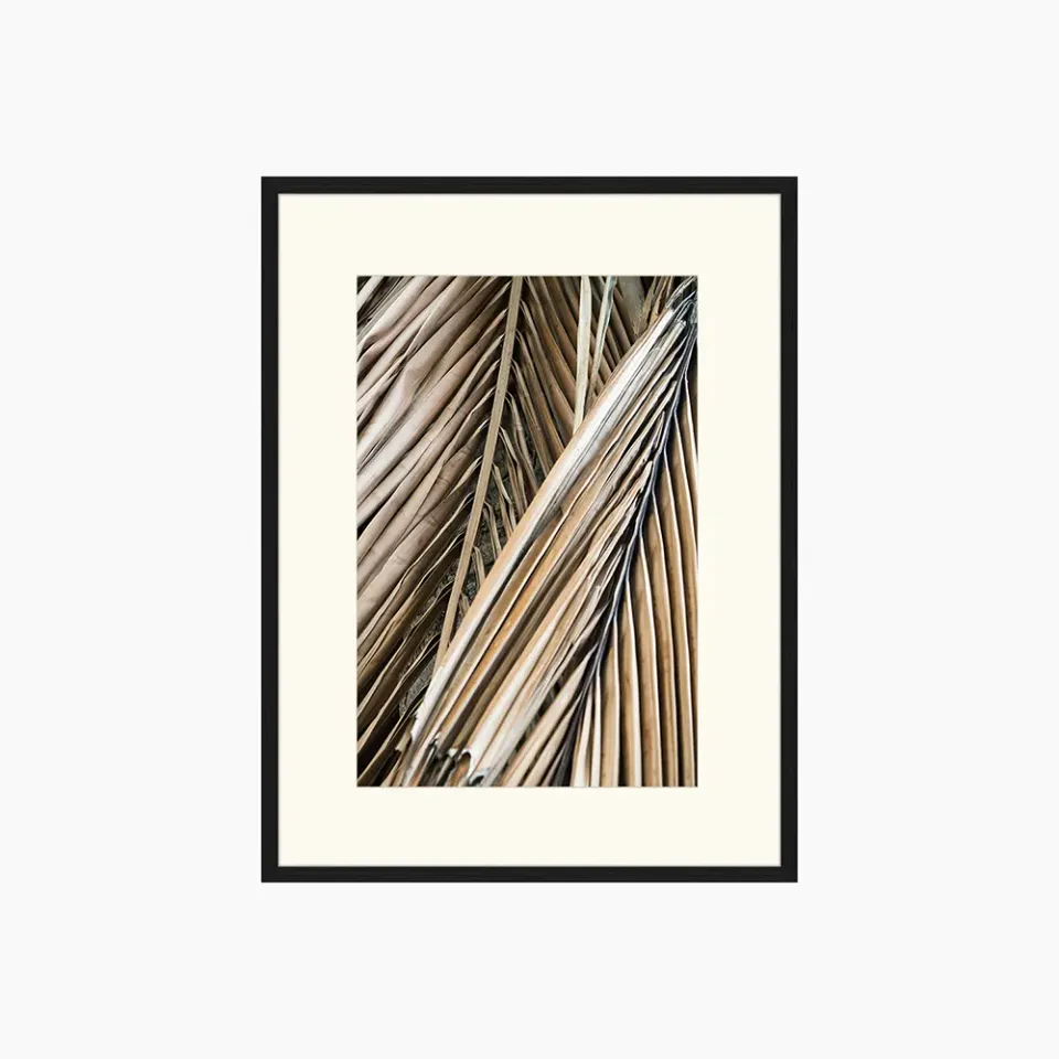 Any Image Dried Palm Fronds toile encadrée nature