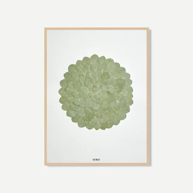 Horti Zip herbier encadré 30x40 eucalyptus