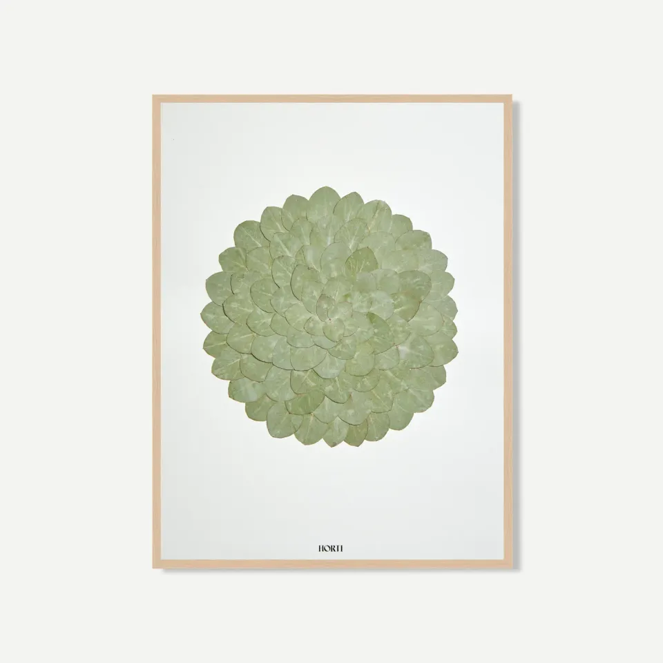 Horti Zip herbier encadré 30x40 eucalyptus