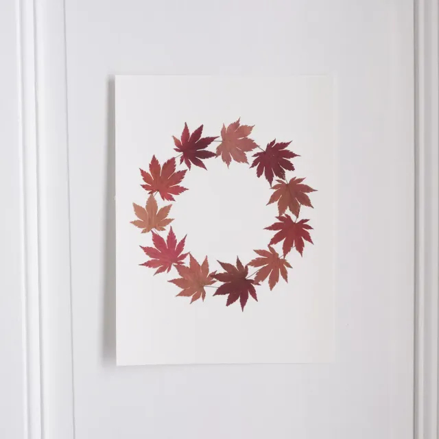 Horti Maple herbier encadré 30x40 érable