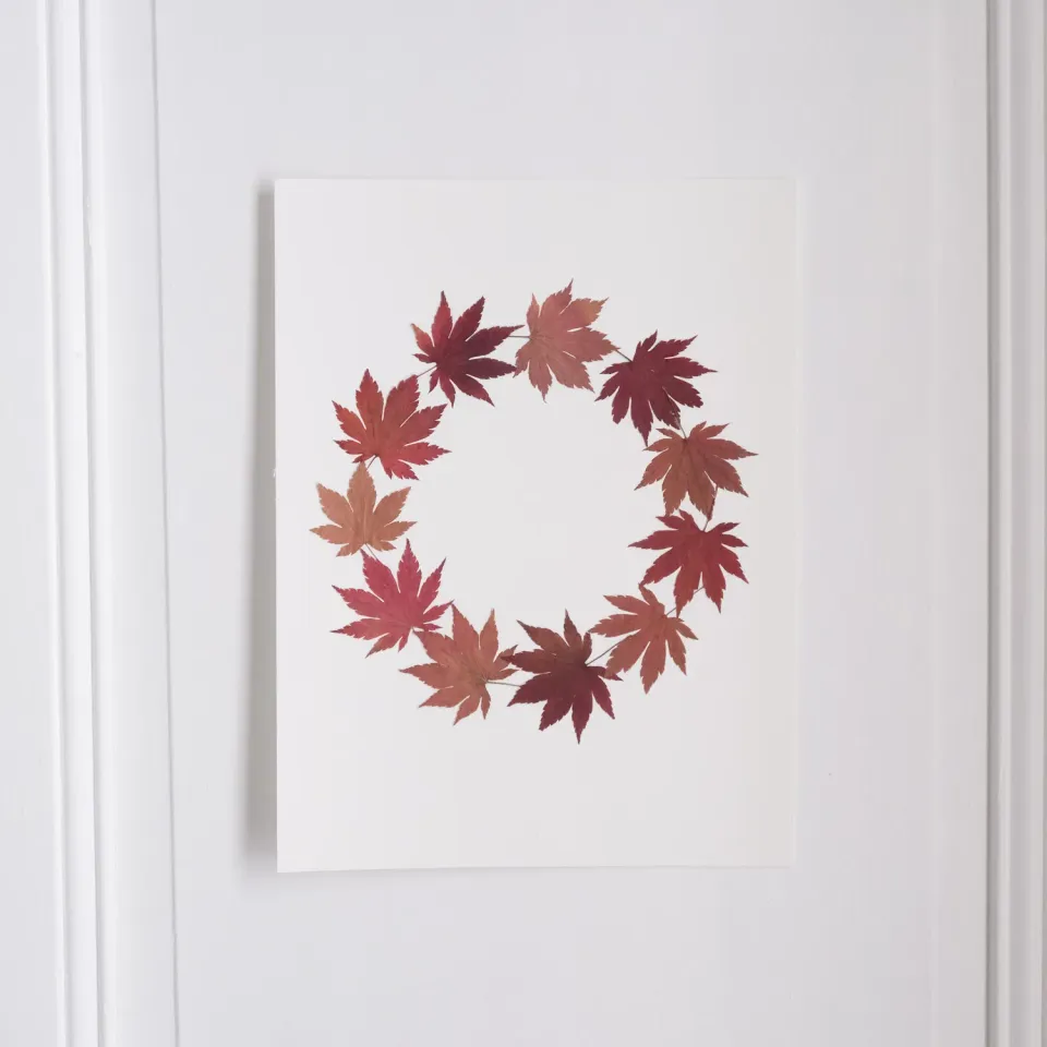 Horti Maple herbier encadré 30x40 érable
