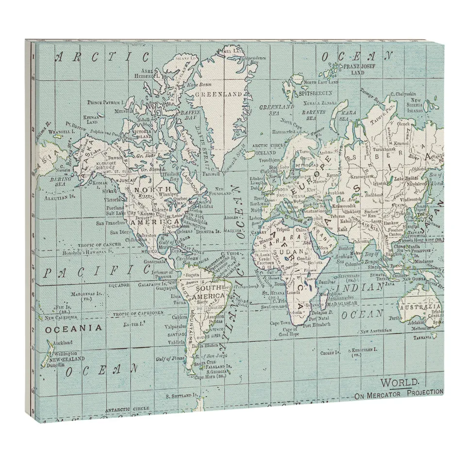 Society6 World Map in Blue and Cream toile carte