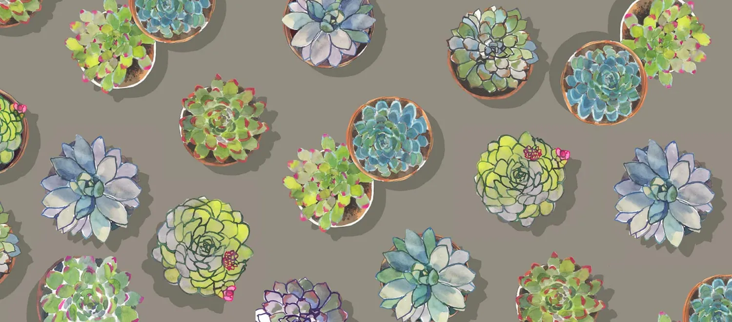 Mademoiselle Tiss Les Succulentes tête de lit 160 cm botanique