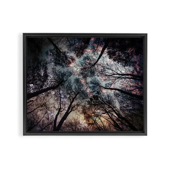 Society6 Starry Sky in the Forest toile encadrée nuit