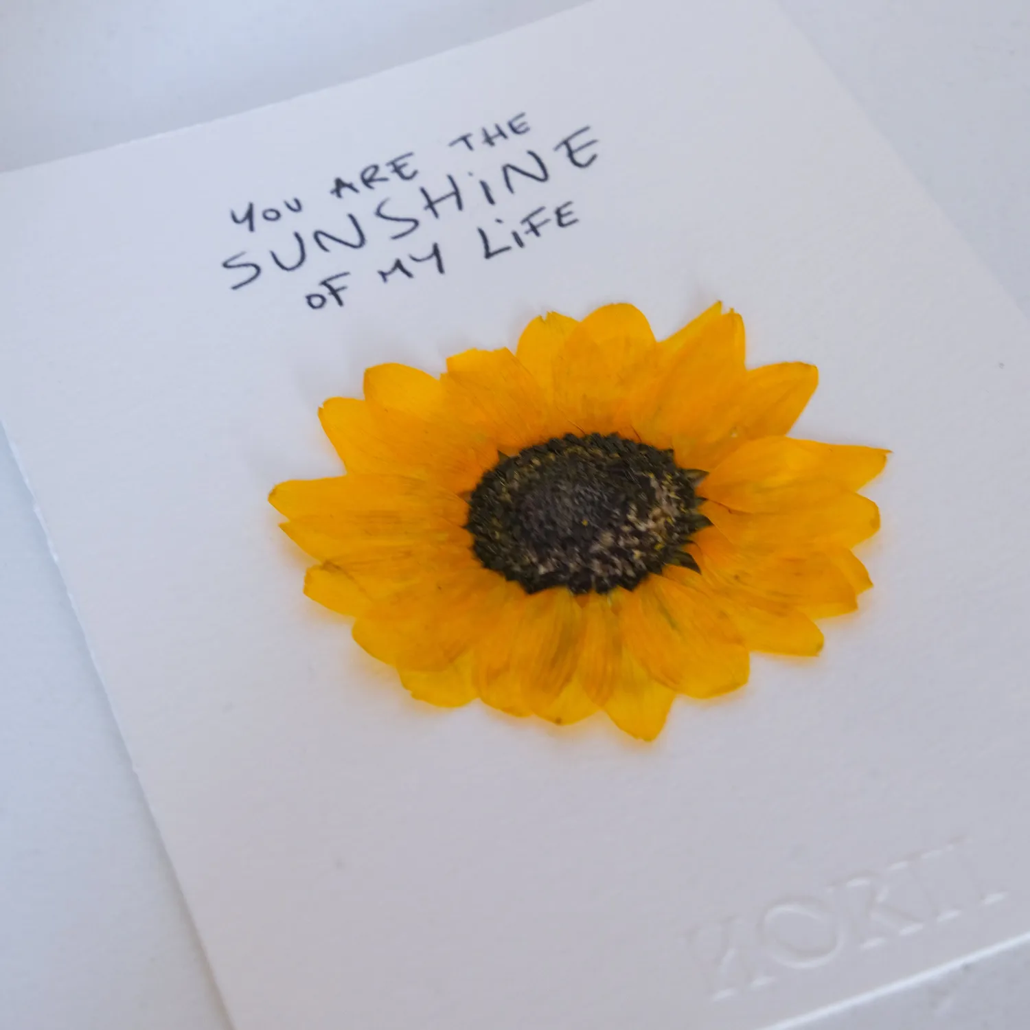 Horti Sunshine herbier encadré 10x15 tournesol
