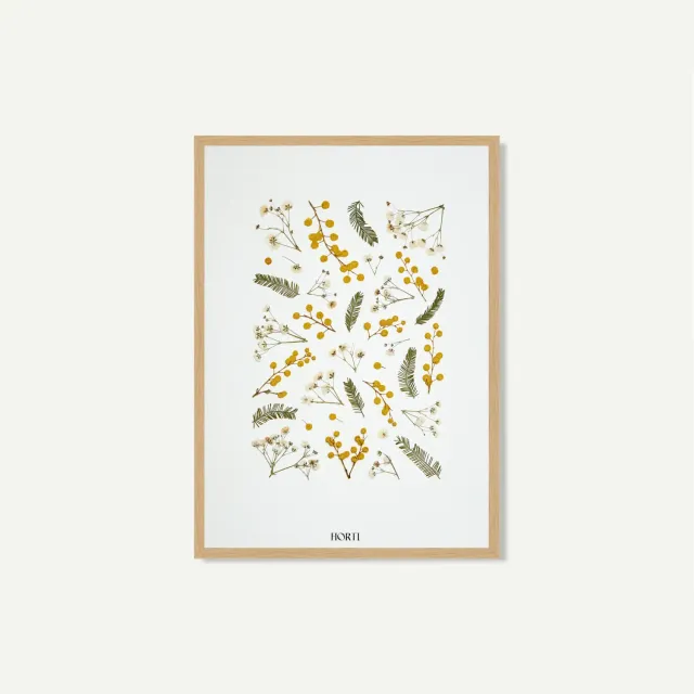 Horti LUX herbier 21x30 cm mimosa et gypsophile