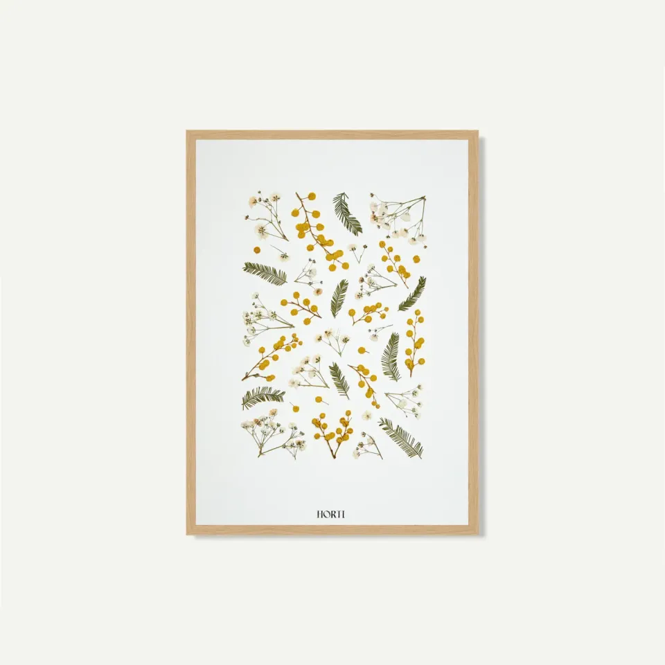 Horti LUX herbier 21x30 cm mimosa et gypsophile