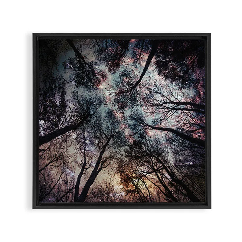 Society6 Starry Sky in the Forest toile encadrée nuit