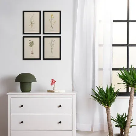 Society6 Pressed Flowers Set affiche encadrée herbier