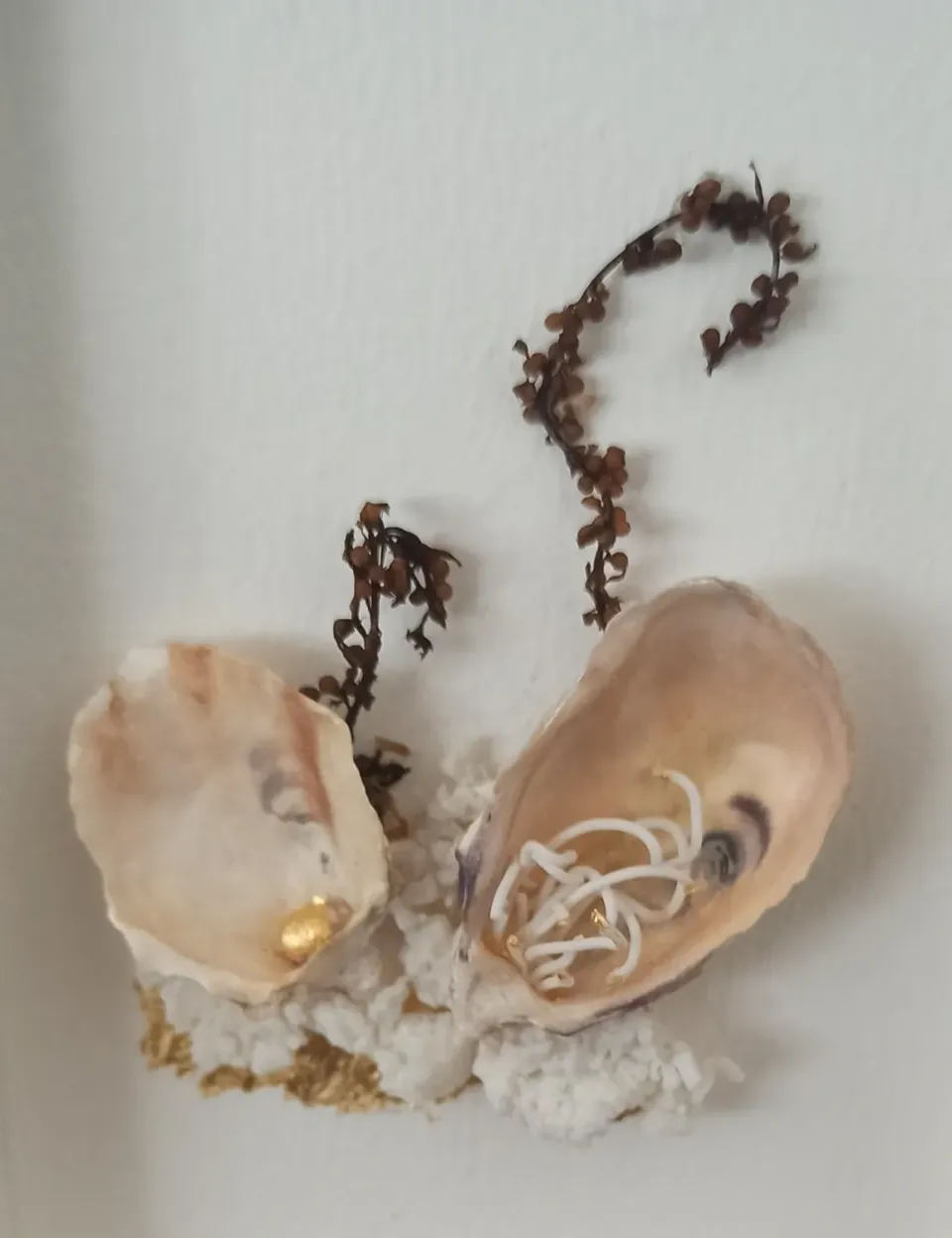 Sandrine Ramona Tableau Huitre III tableau huître porcelaine 10 × 15 cm