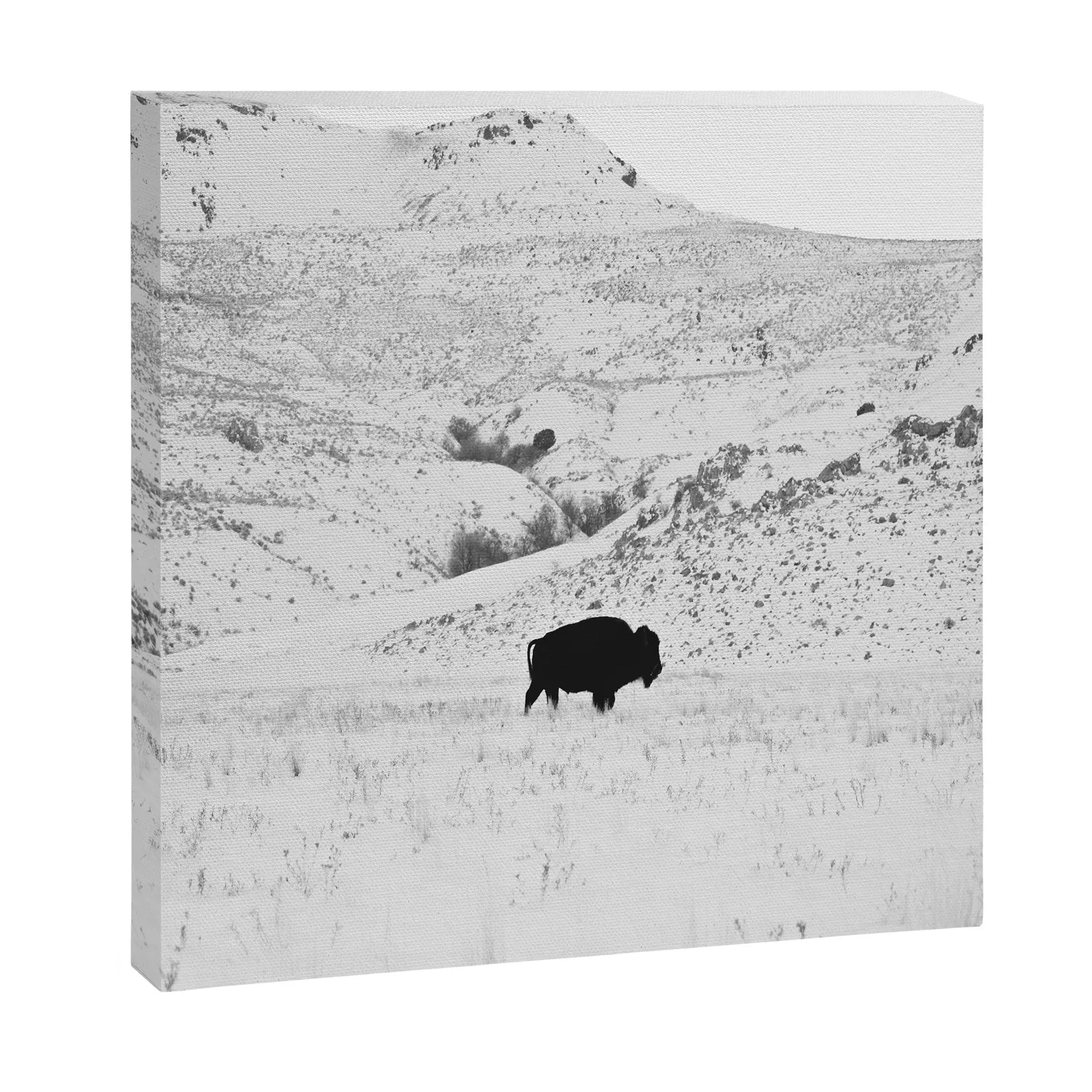 Society6 Black and White Bison toile bison hiver