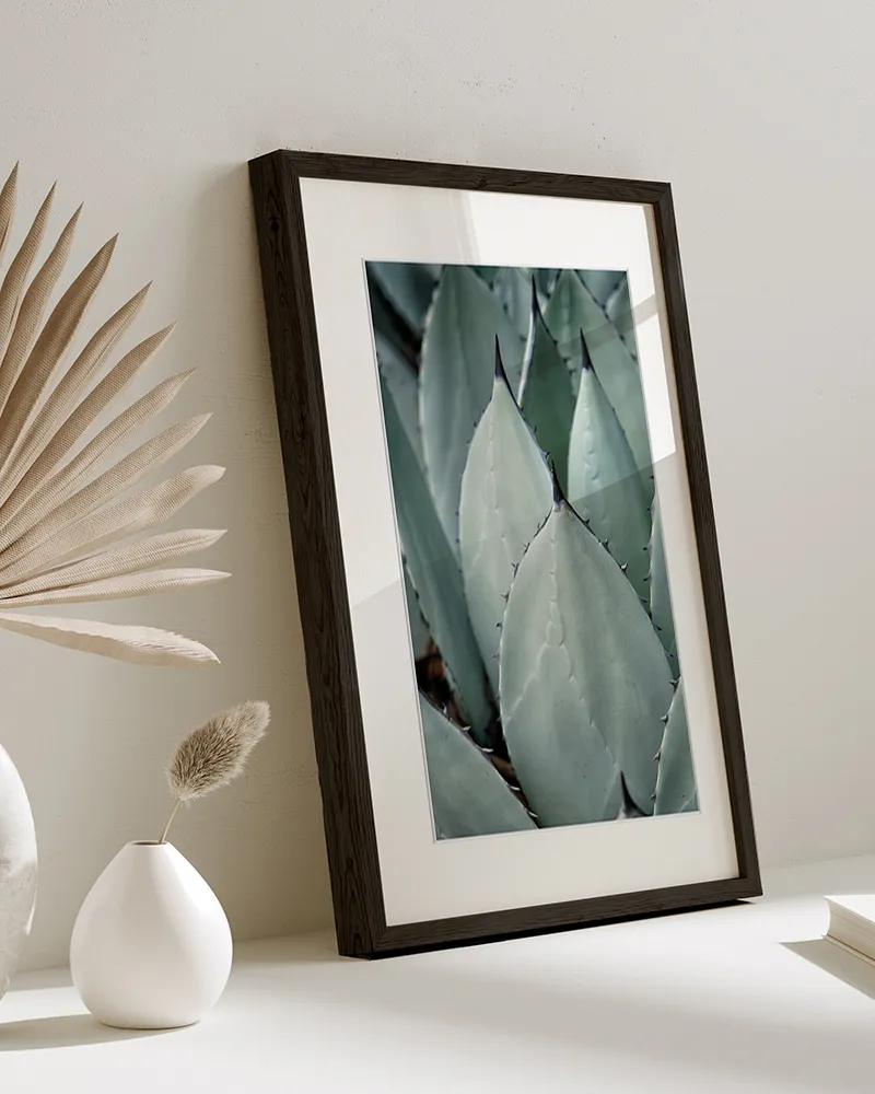 Liv Corday Cacti toile encadrée cactus graphique