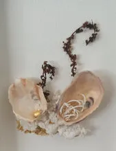 Sandrine Ramona Tableau Huitre III tableau huître porcelaine 10 × 15 cm